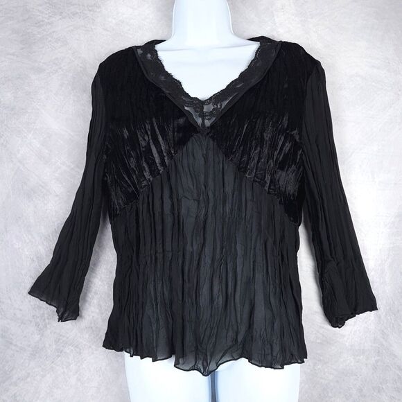 Piano Tops - Vintage Velvet Sheer Top Womens Large Black Lace V Neck Dark Fairy Whimsy Goth